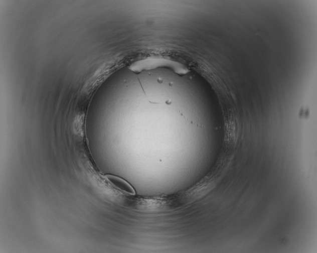 X0000111950286200907271444