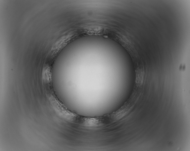 X0000111950287200907271444