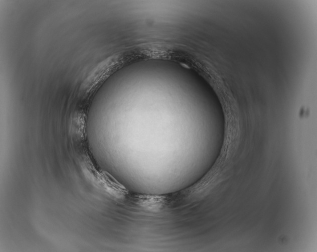 X0000111950288200907271444
