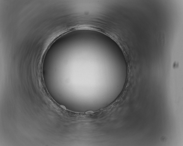 X0000111950289200907271443