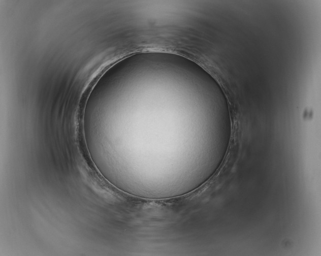 X0000111950290200907271443