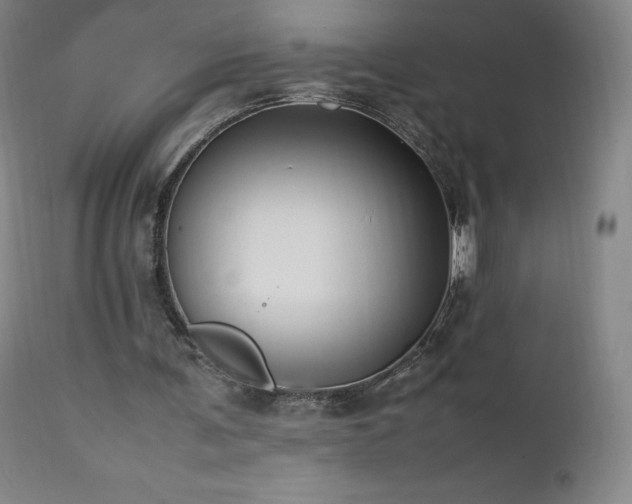 X0000111950291200907271443