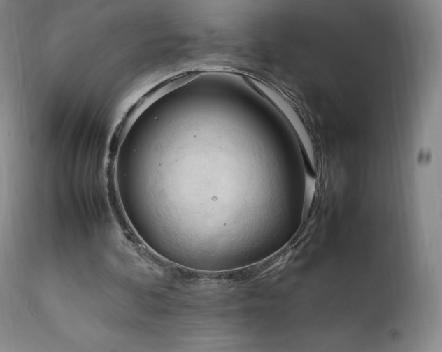 X0000111950292200907271443