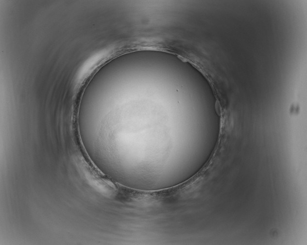 X0000111950293200907271443