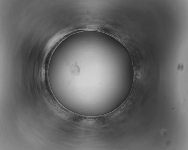 X0000111950294200907271443