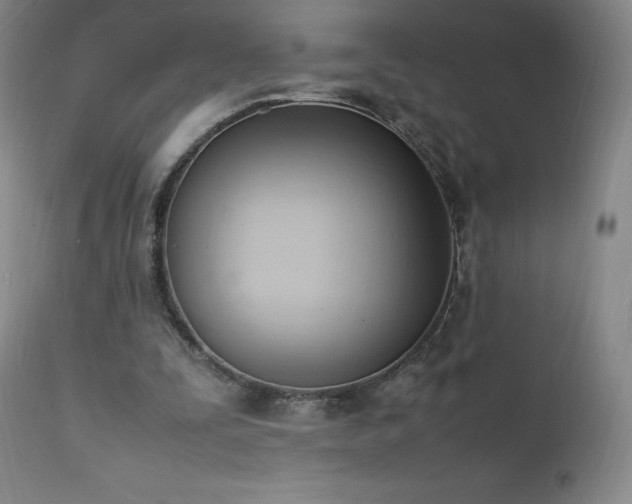 X0000111950295200907271443