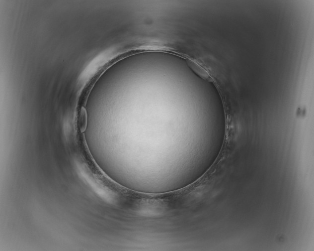 X0000111950296200907271443