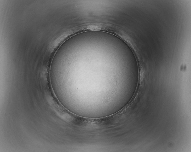 X0000111950297200907271443