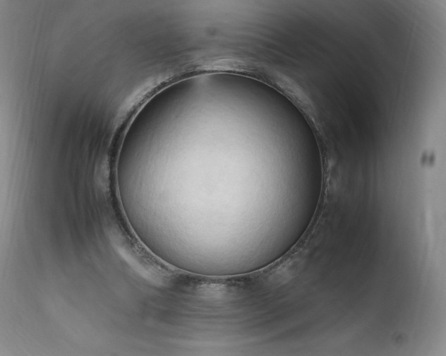 X0000111950298200907271443