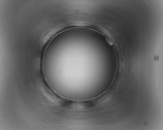 X0000111950299200907271443