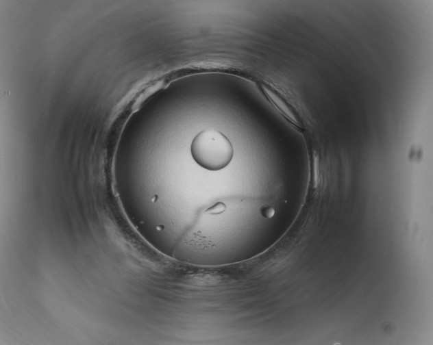 X0000111950300200907271443