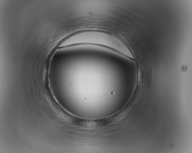 X0000111950301200907271443