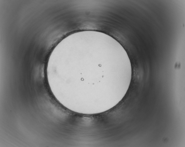 X0000111950302200907271443