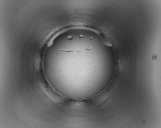 X0000111950304200907271443