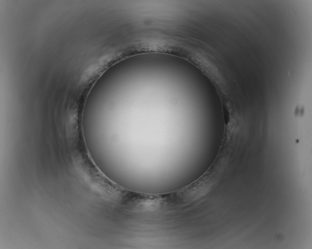 X0000111950306200907271443