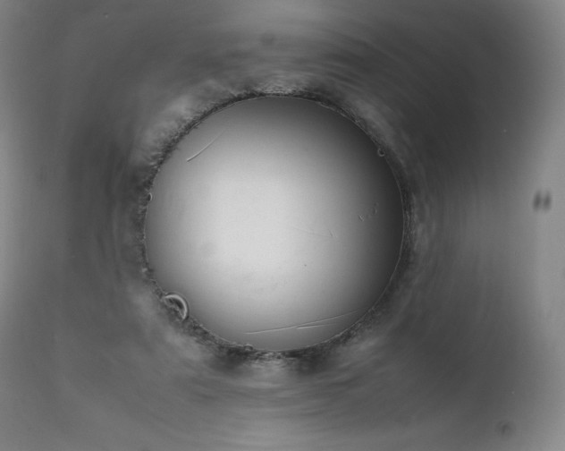 X0000111950307200907271443