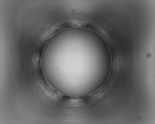 X0000111950314200907271443