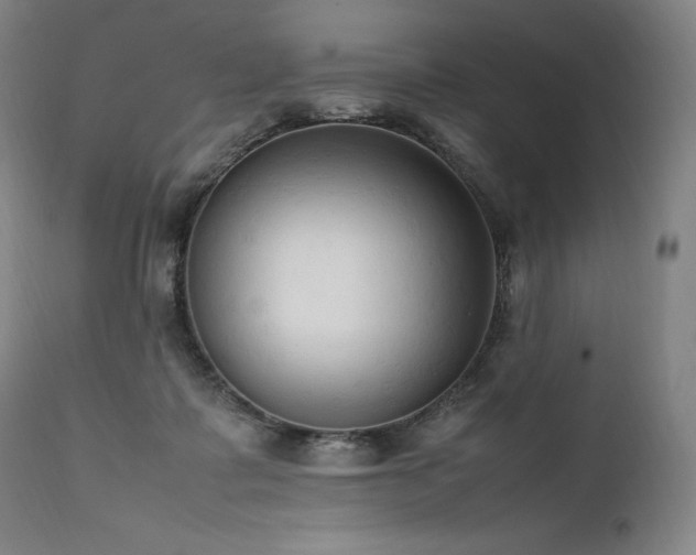 X0000111950315200907271443