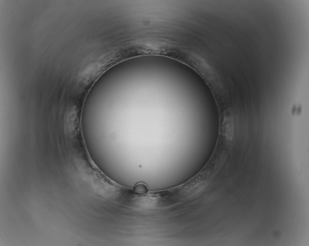 X0000111950318200907271443