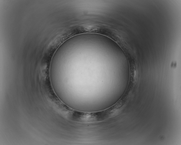 X0000111950319200907271443