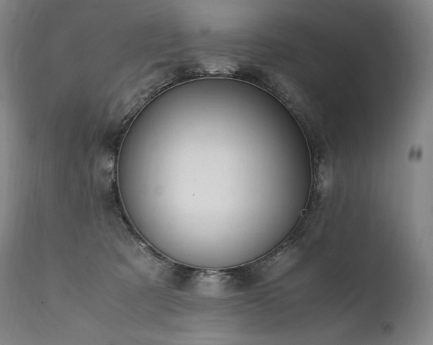 X0000111950321200907271443