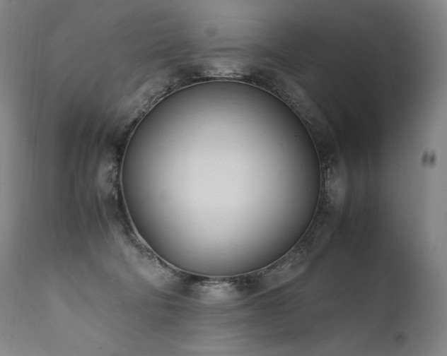 X0000111950322200907271443