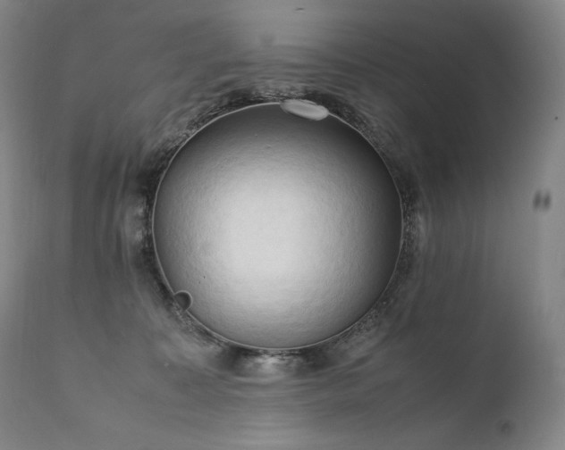 X0000111950323200907271443
