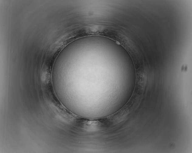 X0000111950324200907271443