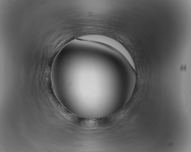 X0000111950325200907271443