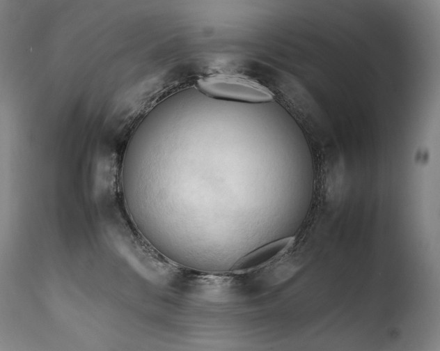X0000111950328200907271443