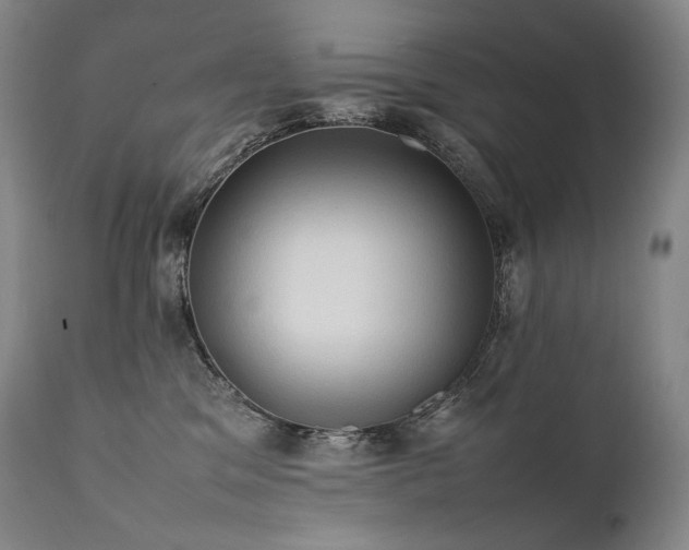 X0000111950329200907271443