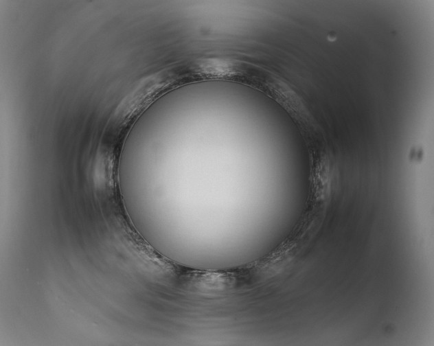 X0000111950330200907271443