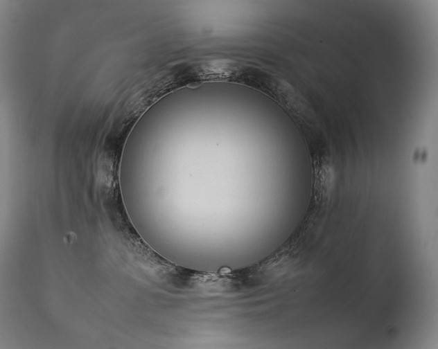 X0000111950331200907271443