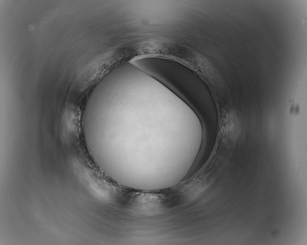 X0000111950332200907271443