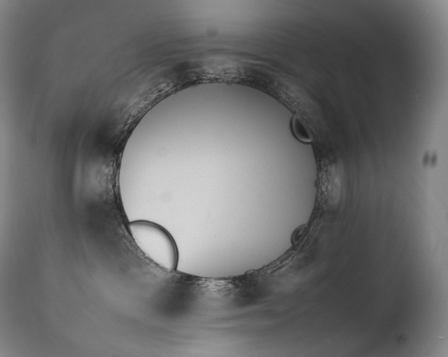 X0000111950333200907271443