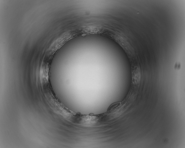 X0000111950334200907271443