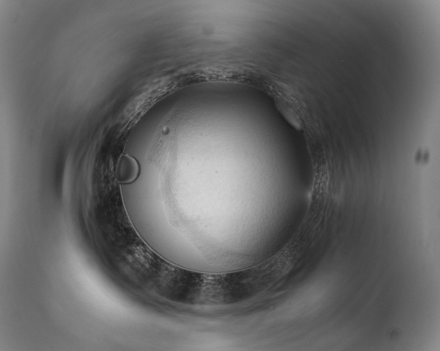 X0000111950335200907271443