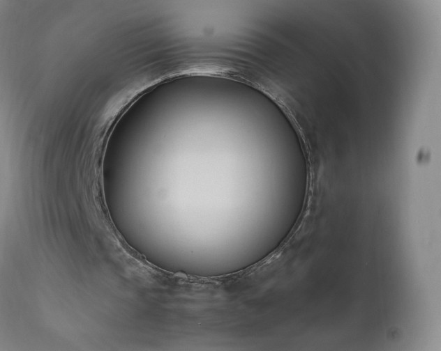 X0000111950337200907271442