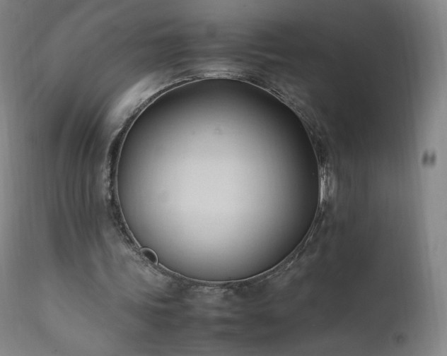 X0000111950339200907271442