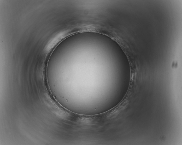 X0000111950341200907271442