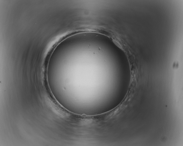 X0000111950342200907271442