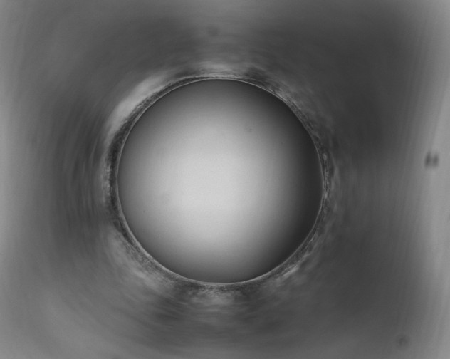 X0000111950343200907271442
