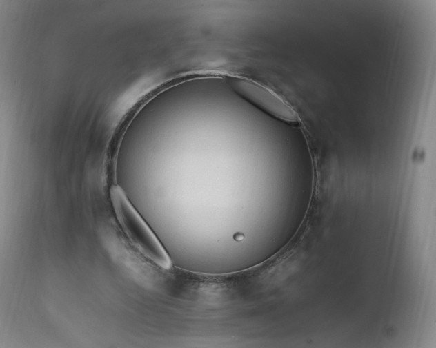 X0000111950344200907271442