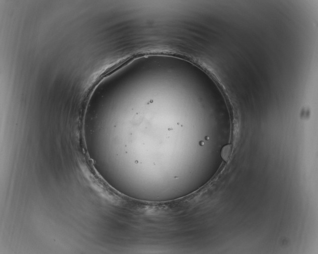 X0000111950345200907271442