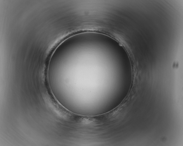 X0000111950346200907271442