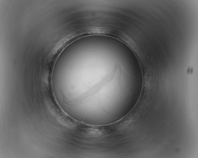 X0000111950347200907271442