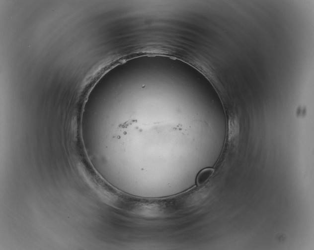 X0000111950349200907271442