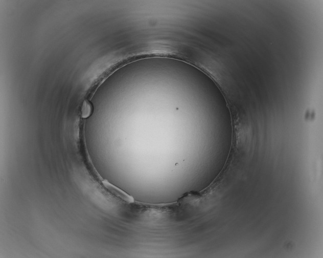 X0000111950350200907271442