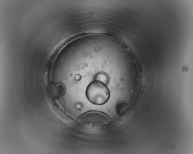 X0000111950351200907271442