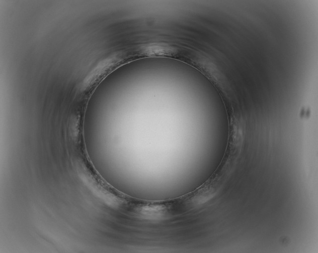 X0000111950357200907271442